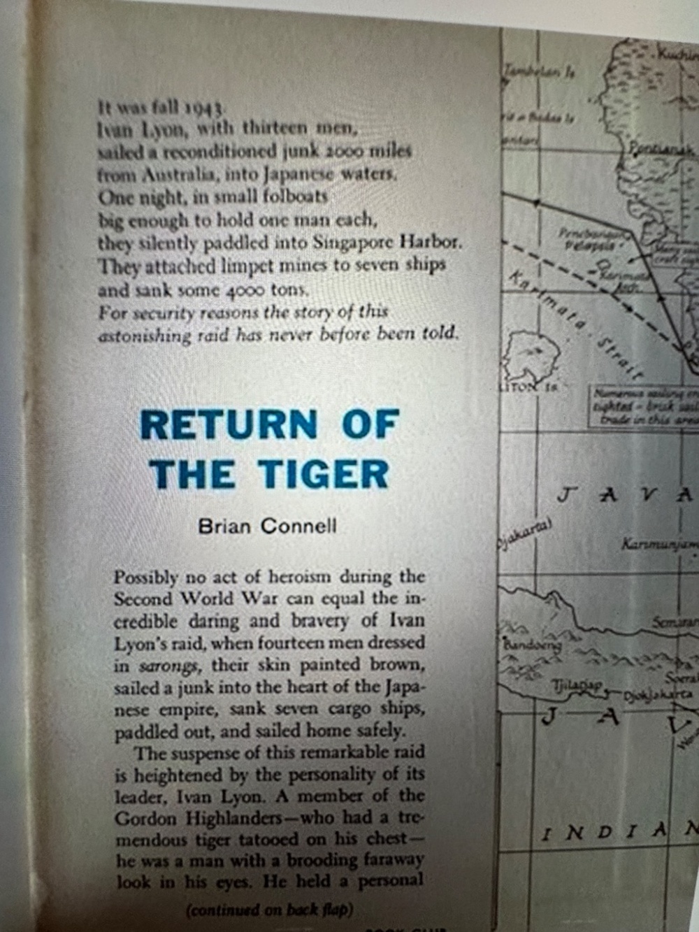 Return Of The Tiger - Picture 2 of 8
